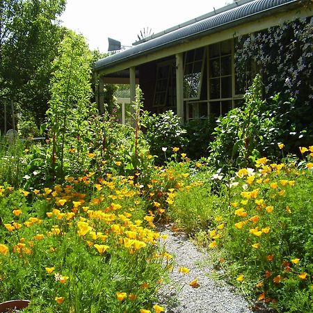 Holly Lane Mews Motel Yarra Glen Bagian luar foto