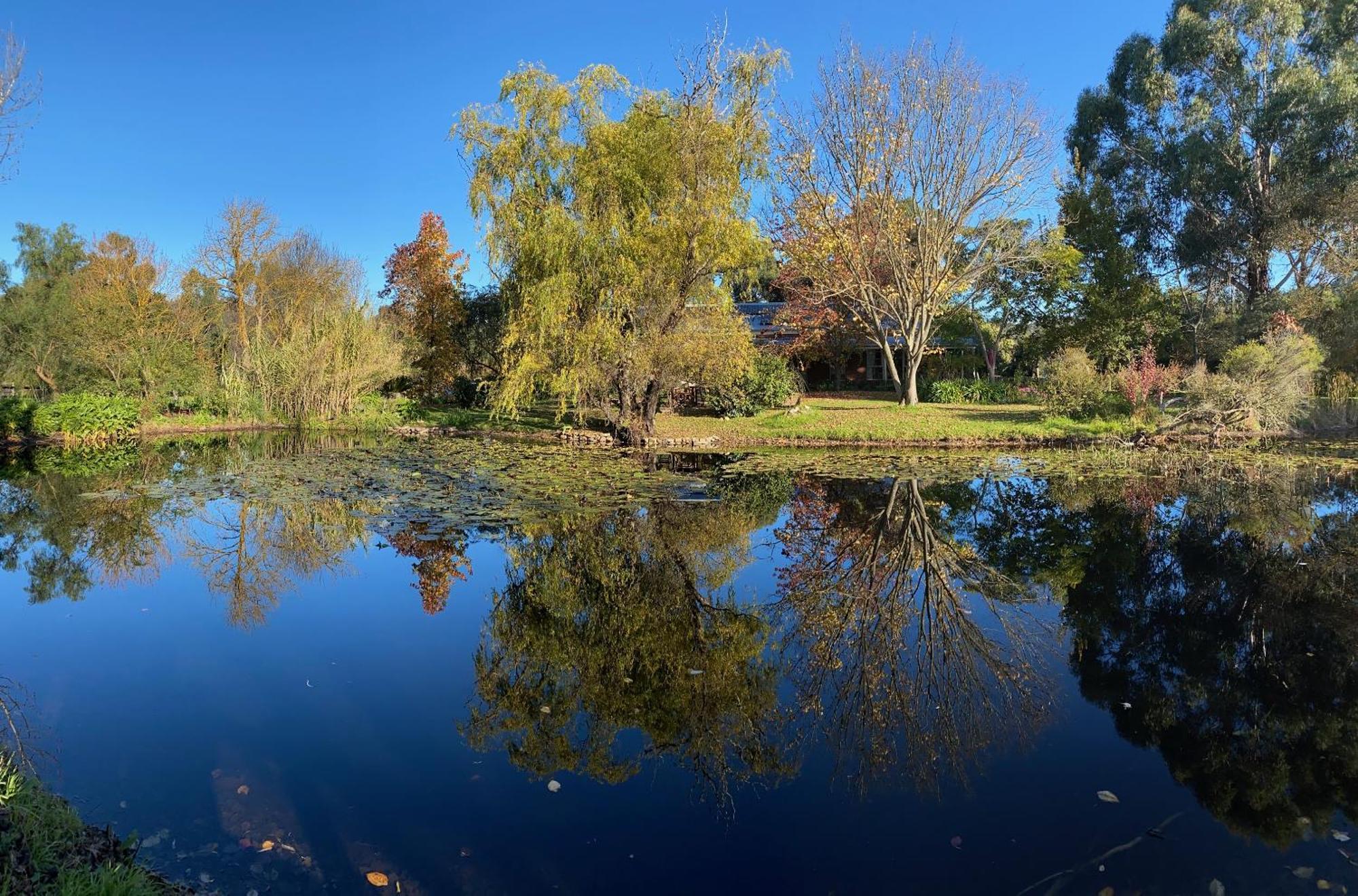 Holly Lane Mews Motel Yarra Glen Bagian luar foto