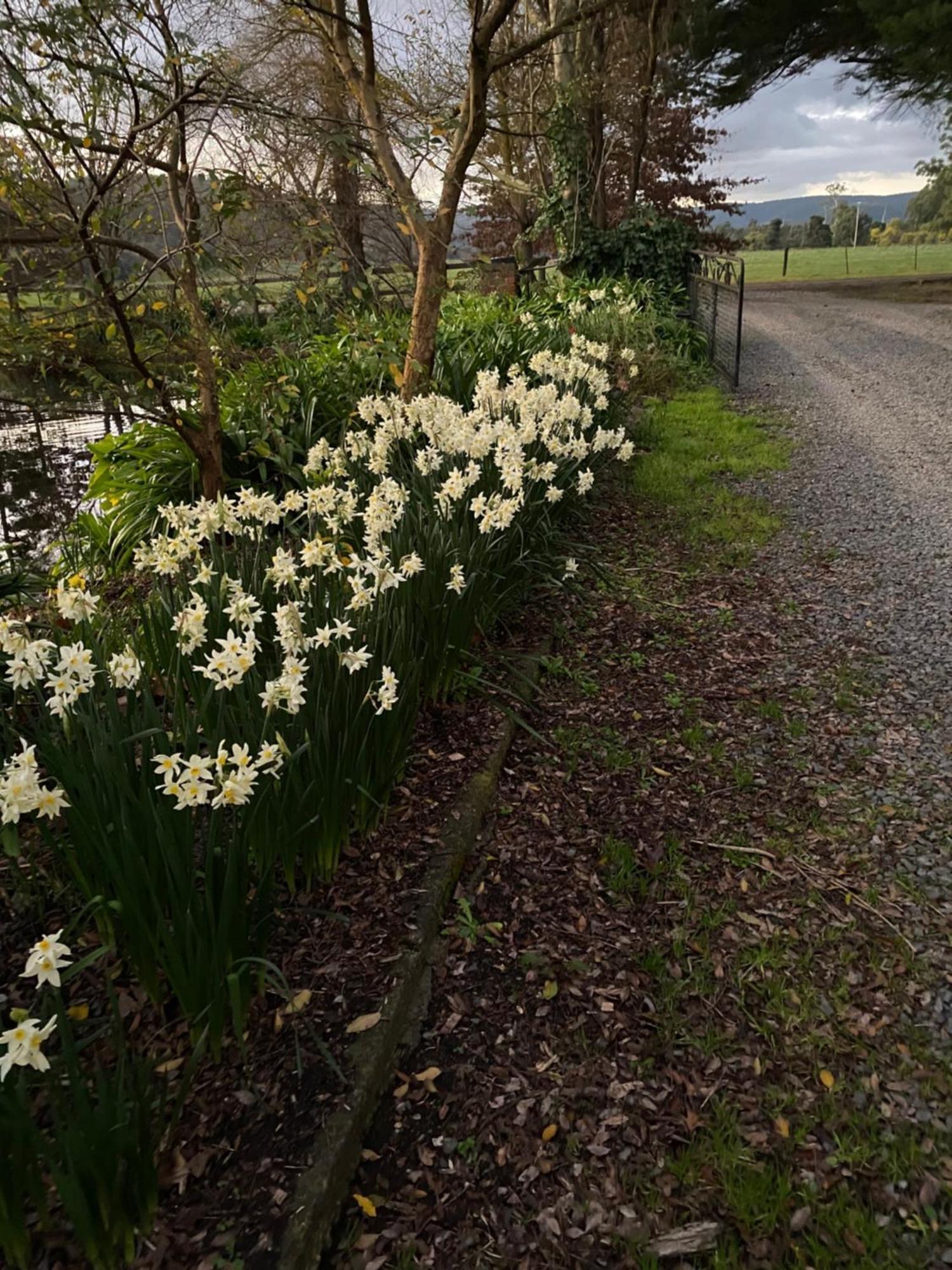 Holly Lane Mews Motel Yarra Glen Bagian luar foto