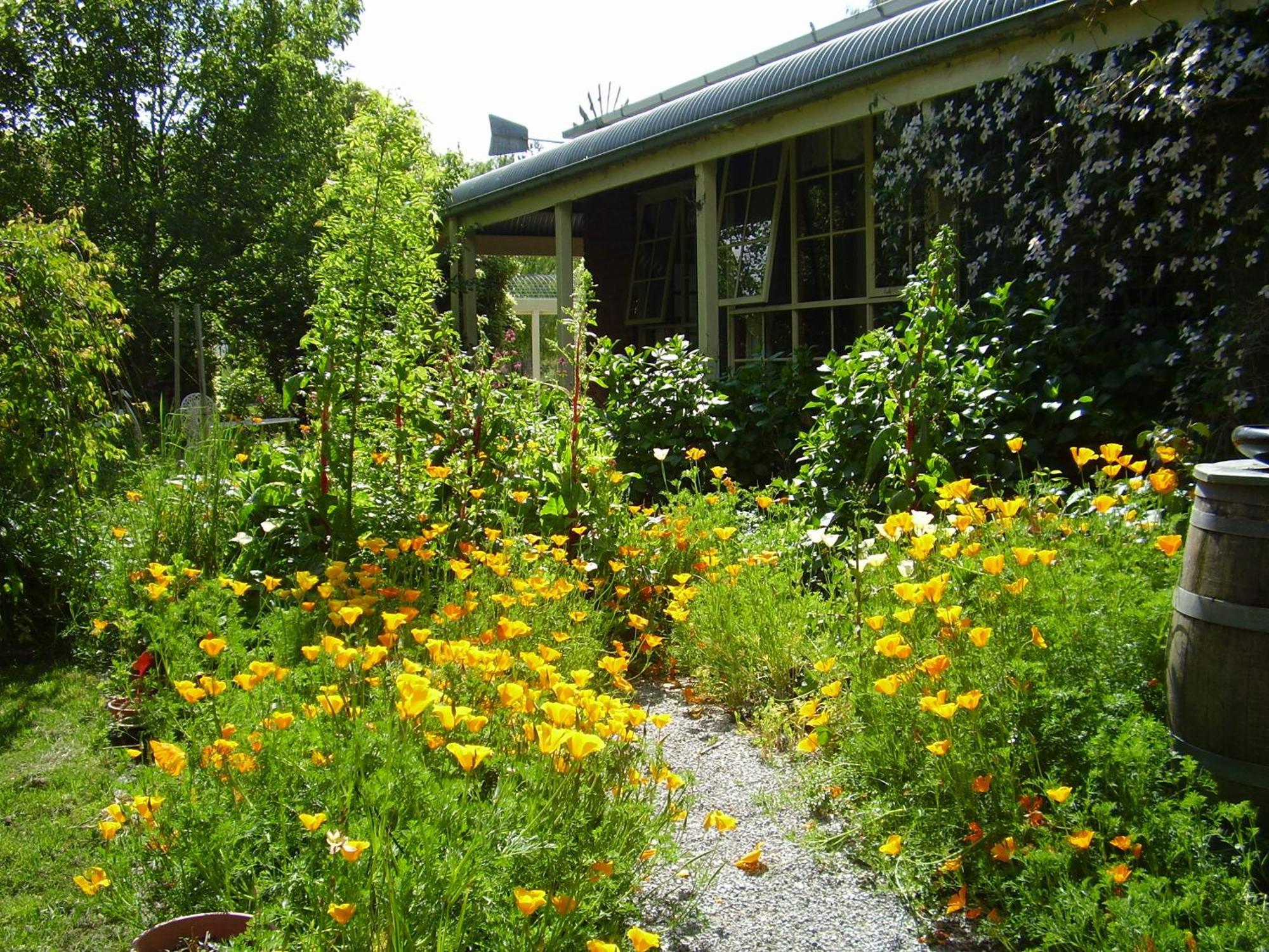 Holly Lane Mews Motel Yarra Glen Bagian luar foto