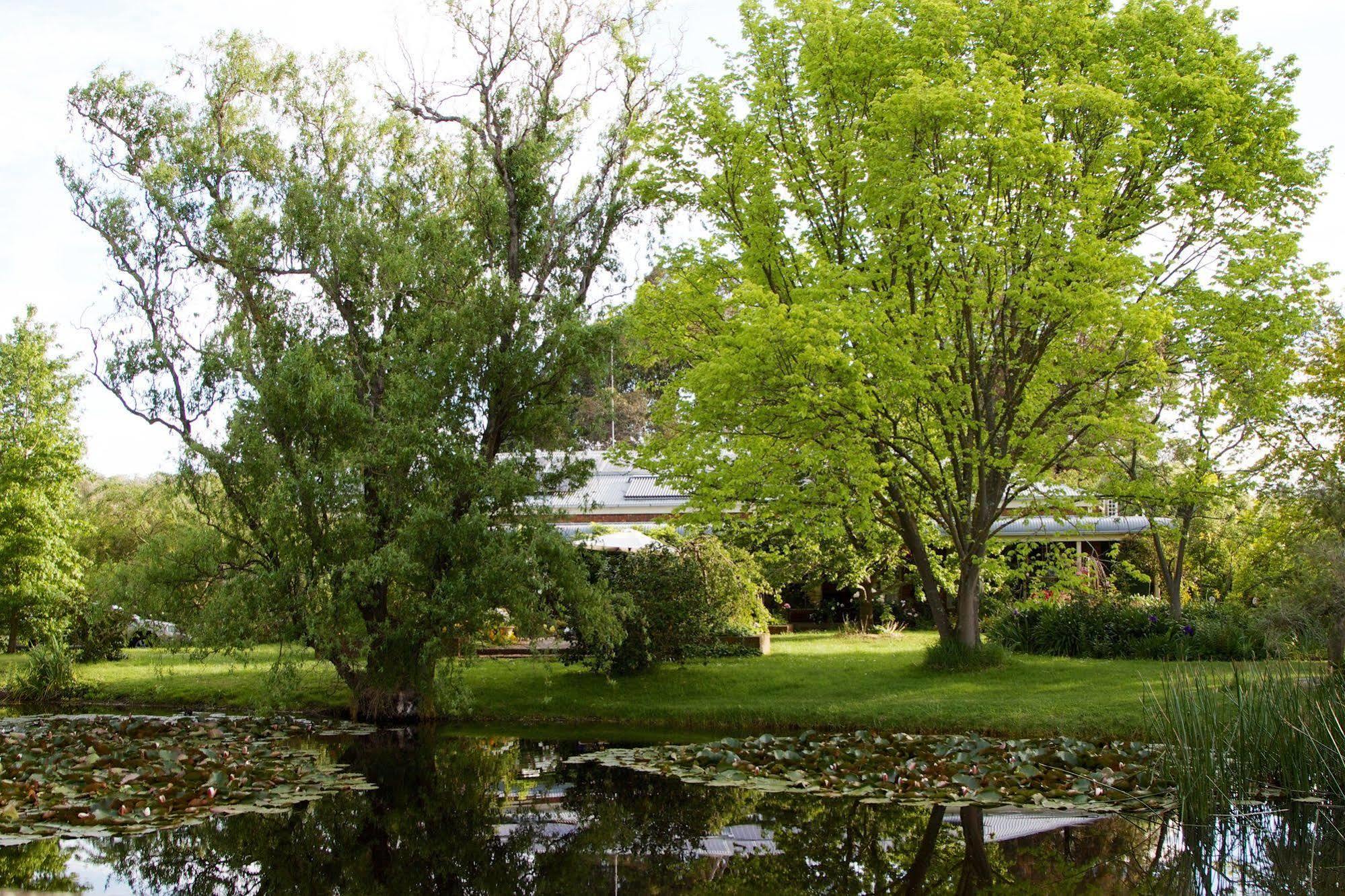 Holly Lane Mews Motel Yarra Glen Bagian luar foto